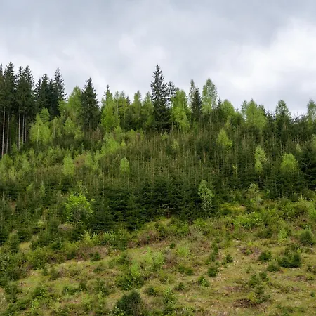 Viktan Πανσιόν 4*